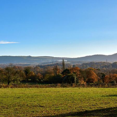 Garden Flat Near Goodwood With Stunning Views Apartment Petersfield Bagian luar foto