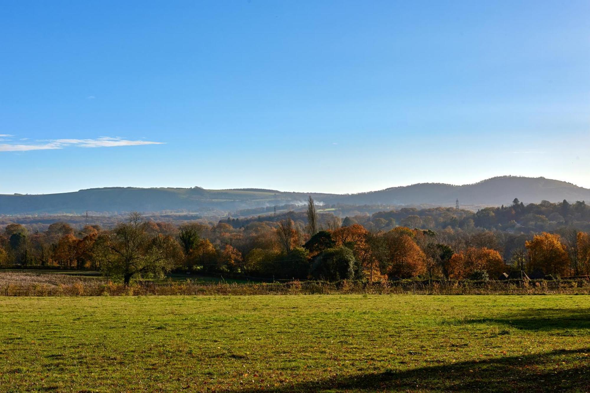 Garden Flat Near Goodwood With Stunning Views Apartment Petersfield Bagian luar foto