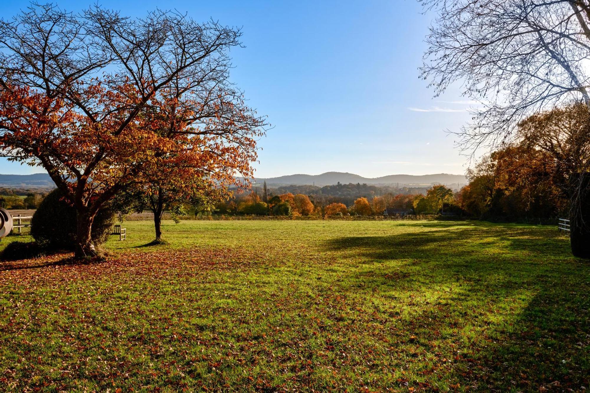 Garden Flat Near Goodwood With Stunning Views Apartment Petersfield Bagian luar foto